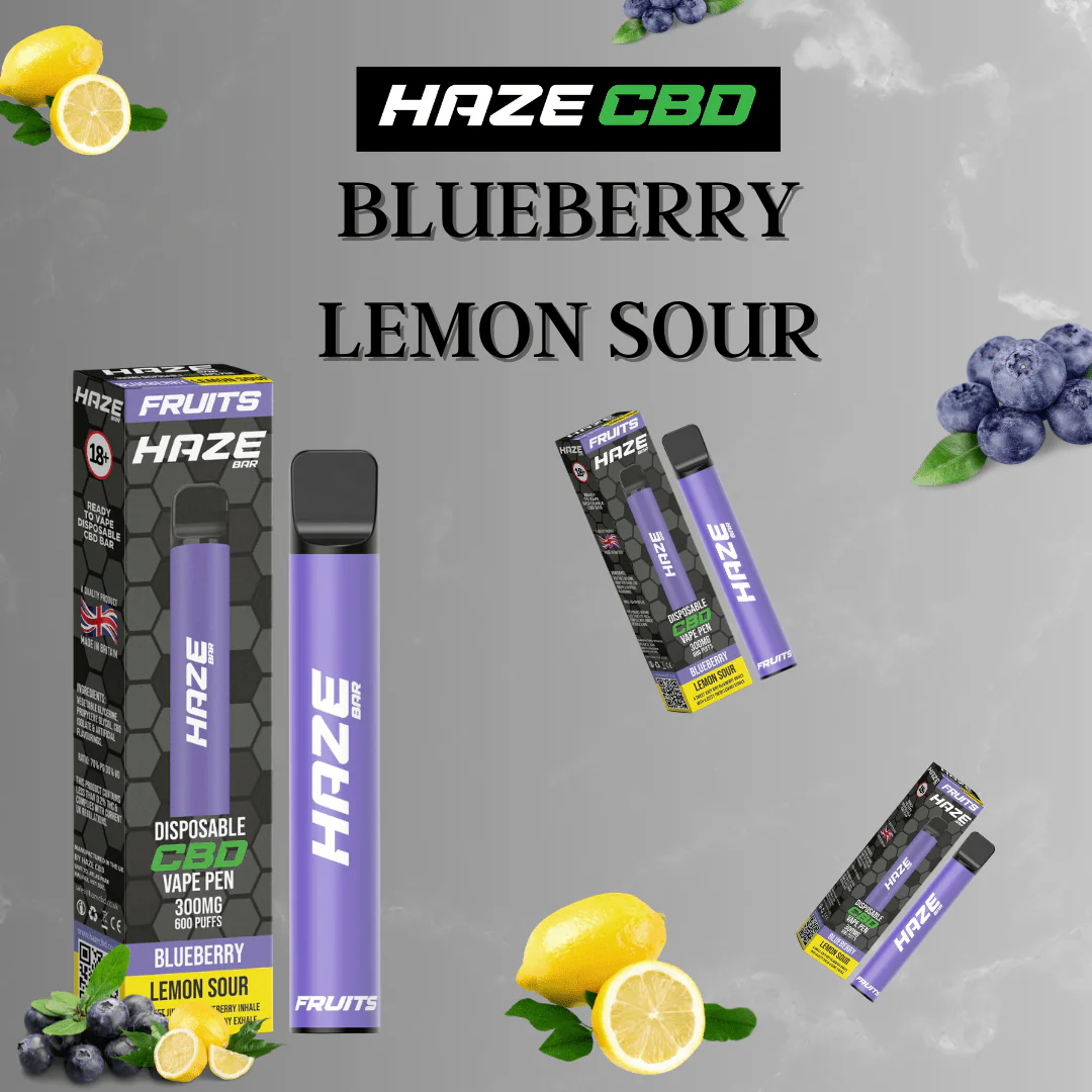 Blueberry Lemon Sour